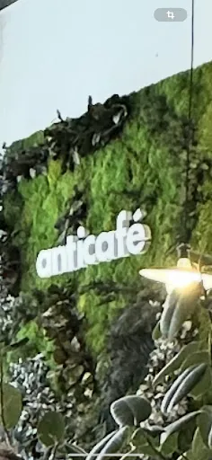 Anticafé